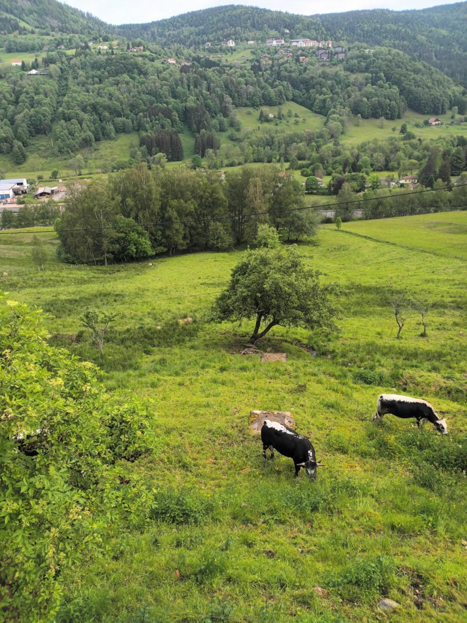Gite Bussang Exteriér fotografie